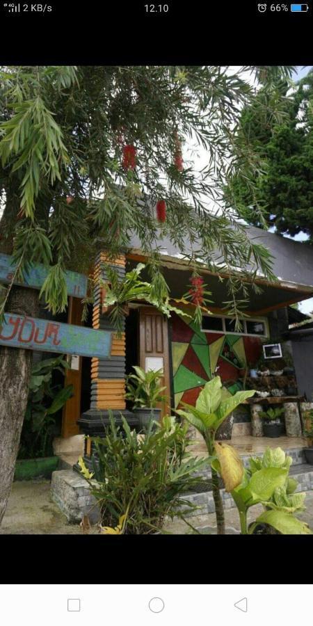 Isi Langa Home Stay Bajawa Exteriör bild